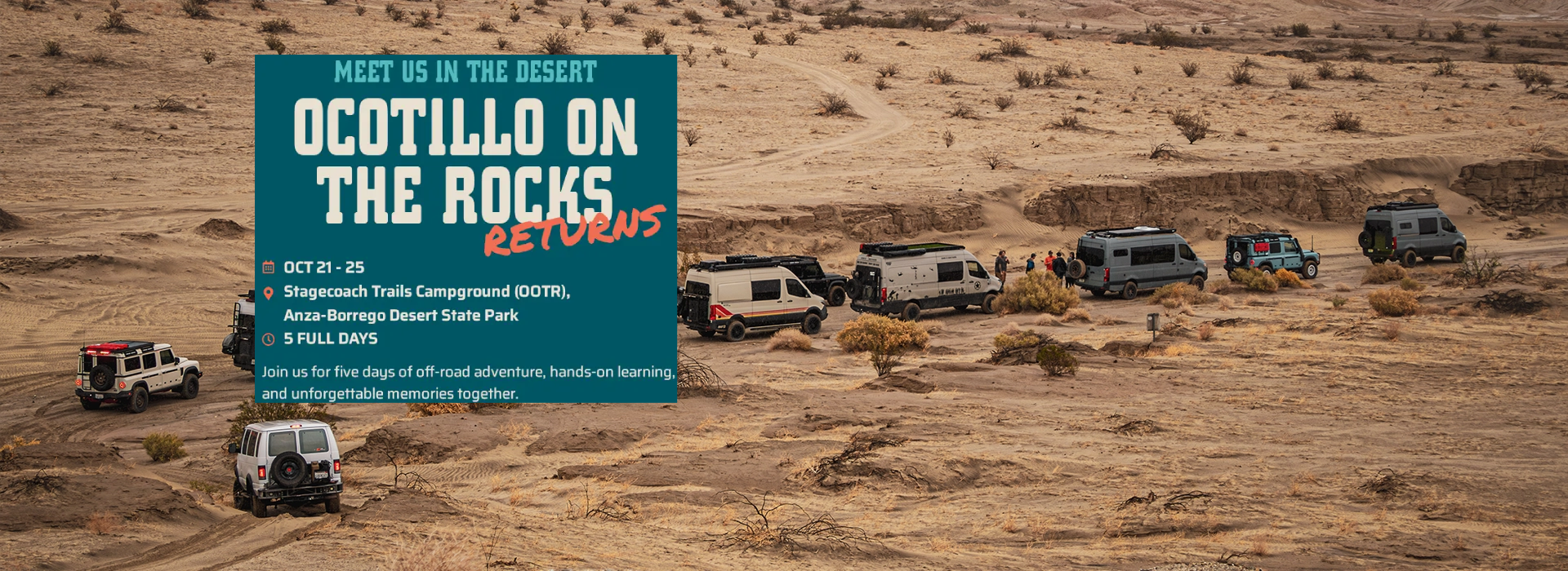 Ocotillo on the rocks 2026