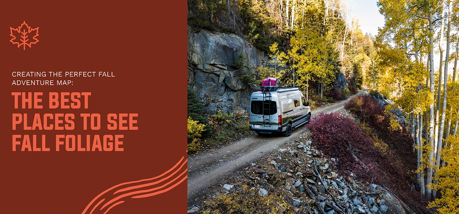 Exploring fall foliage in you Sprinter van