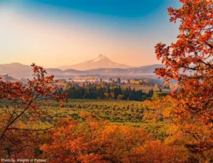 Mount Hood