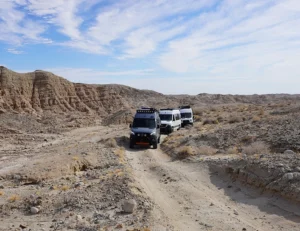 Ocotillo On The Rocks by Agile Offroad